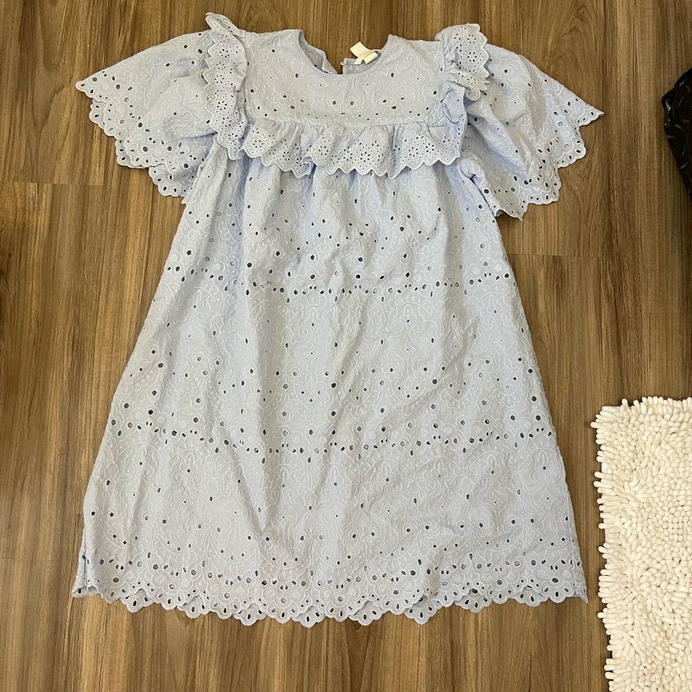 Zara mini lace eyelet dress